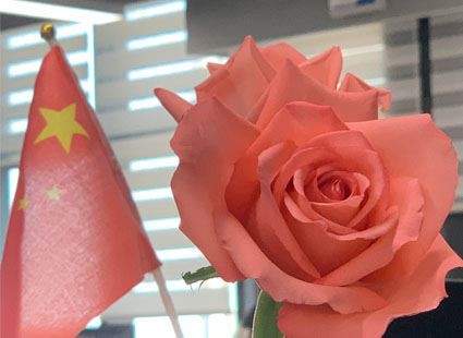 Szczęśliwego 8 marca Dnia Kobiet