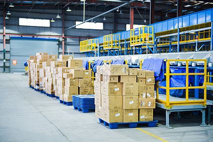 Codzienna produkcja i dostawa IWILL